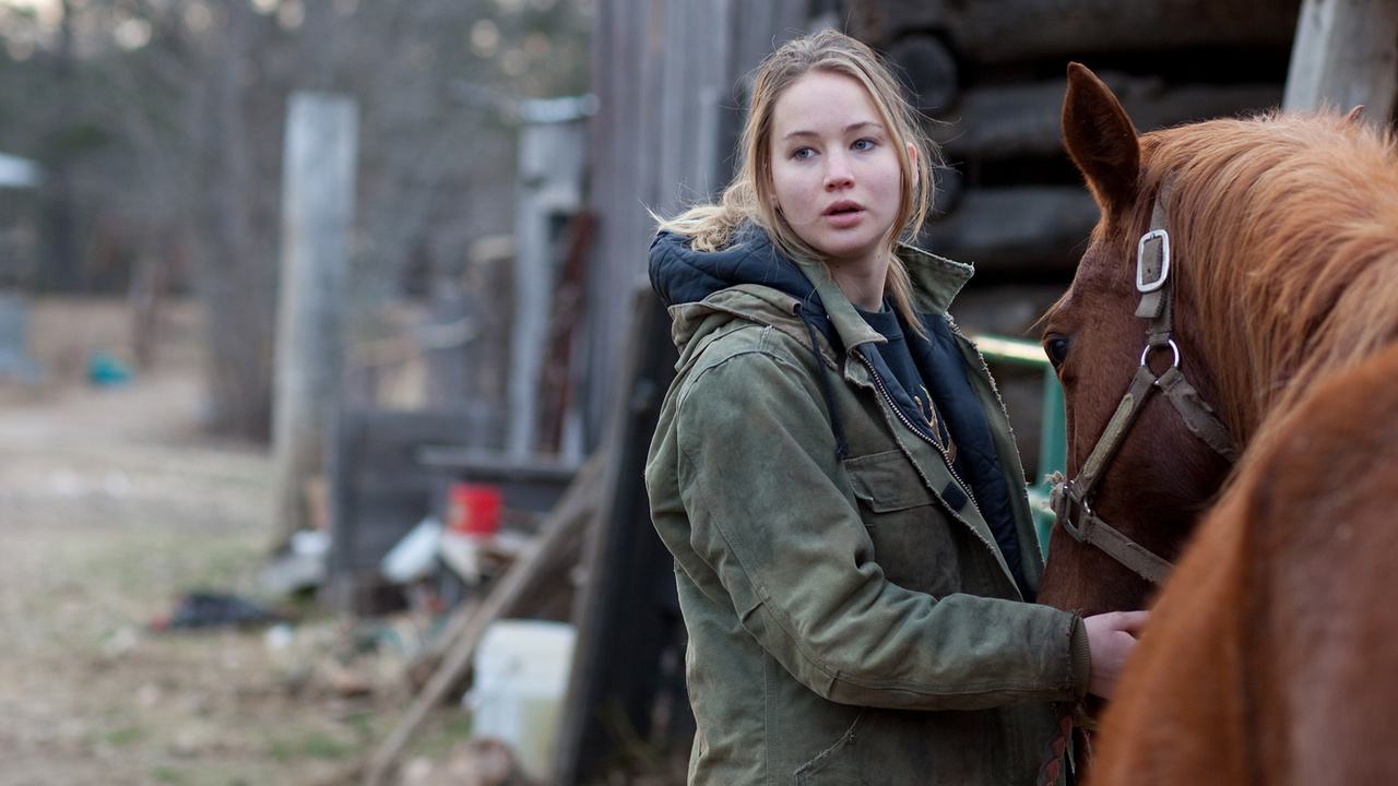 Imagen de la película "Wnter's bone"